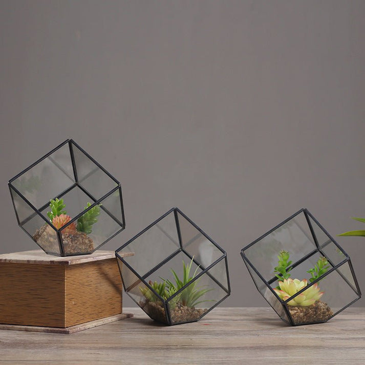 Succulent Terrariums