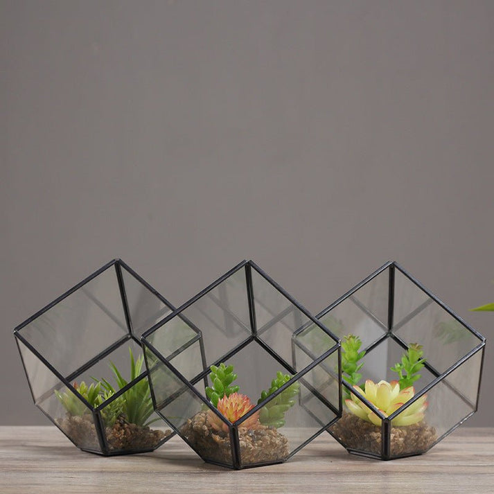 Succulent Terrariums